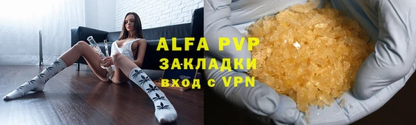 дмт Инта