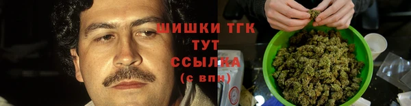 тгк Иннополис
