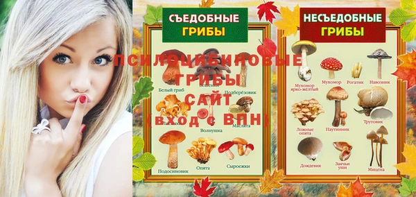 дмт Инта