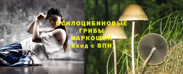 тгк Иннополис