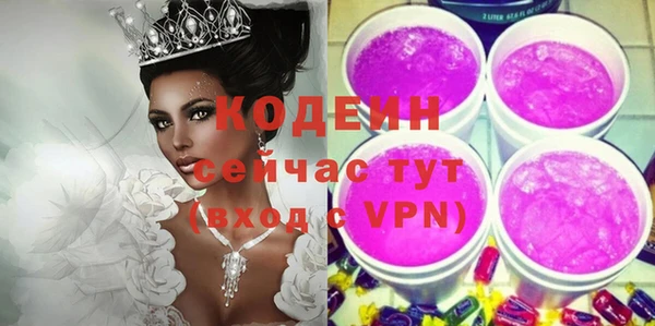 дмт Инта